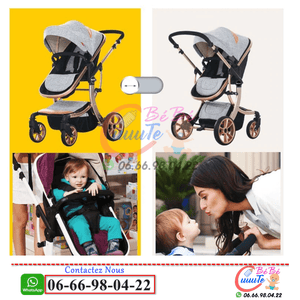 Poussette 2en1 Aimile