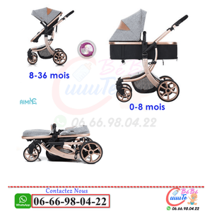 Poussette 2en1 Aimile