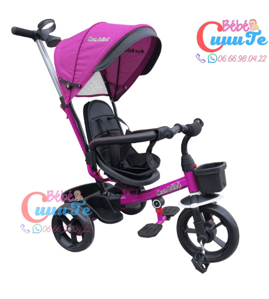 Tricycle Evolutif Yf-31