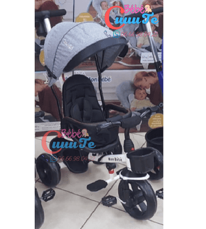 Tricycle Evolutif Yf-31