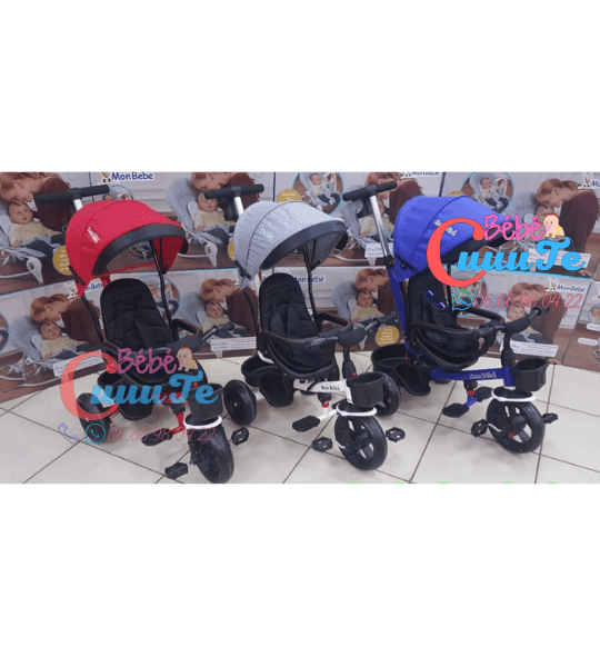 Tricycle Evolutif Yf-31