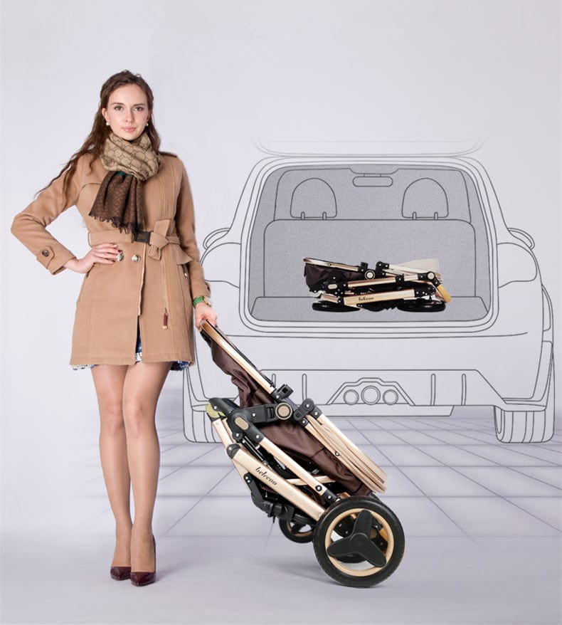 Poussette  de luxe  3 en 1