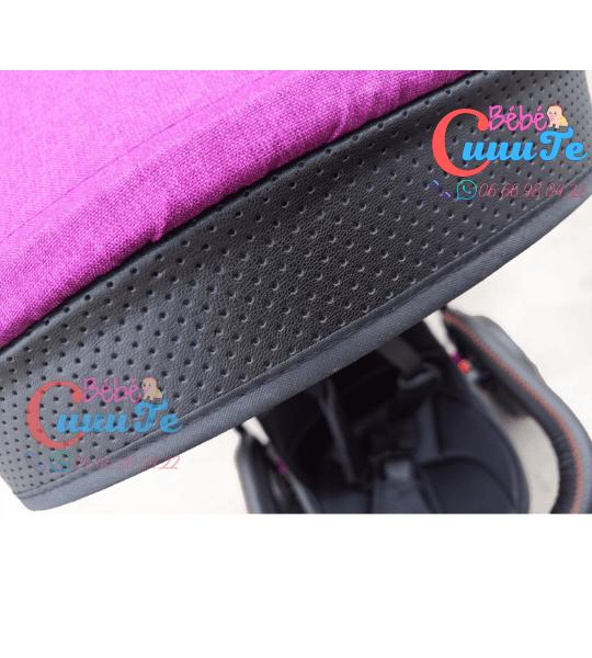Tricycle Evolutif Yf-31