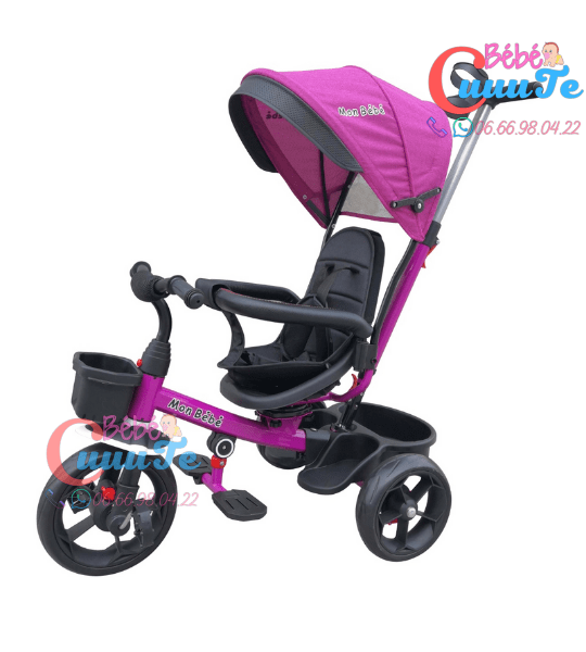Tricycle Evolutif Yf-31