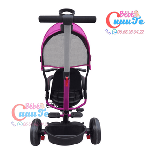 Tricycle Evolutif Yf-31