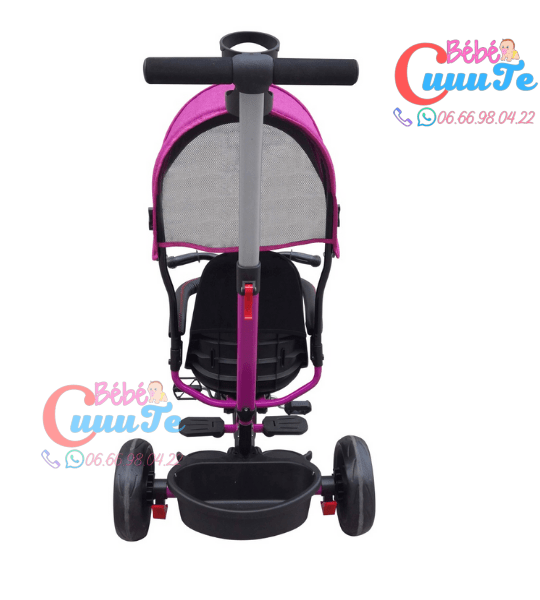 Tricycle Evolutif Yf-31