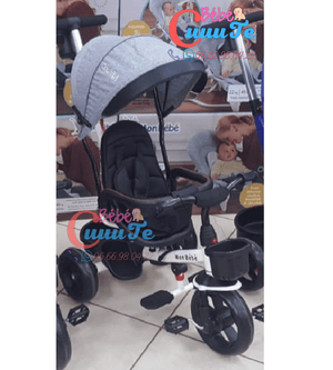 Tricycle Evolutif Yf-31