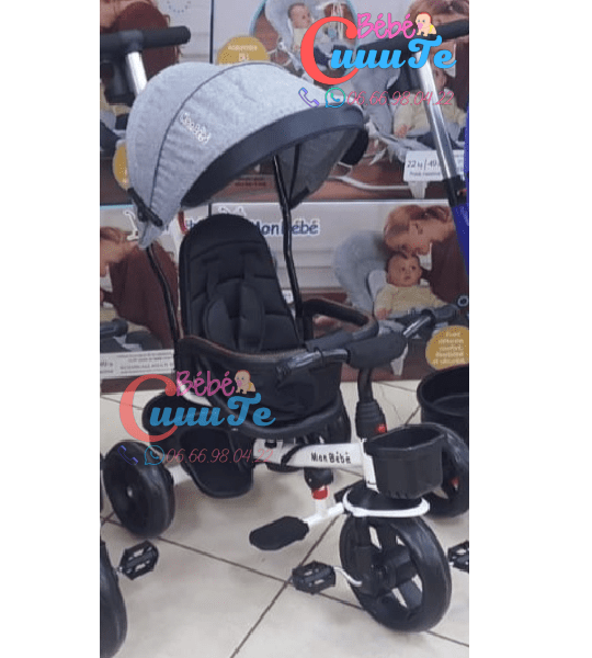Tricycle Evolutif Yf-31