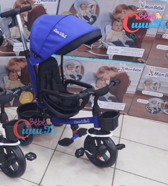 Tricycle Evolutif Yf-31