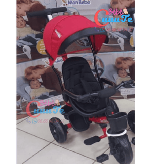 Tricycle Evolutif Yf-31