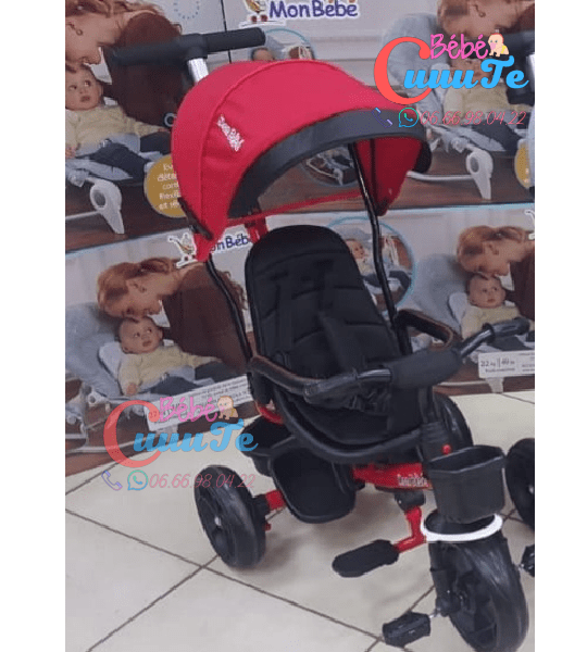 Tricycle Evolutif Yf-31