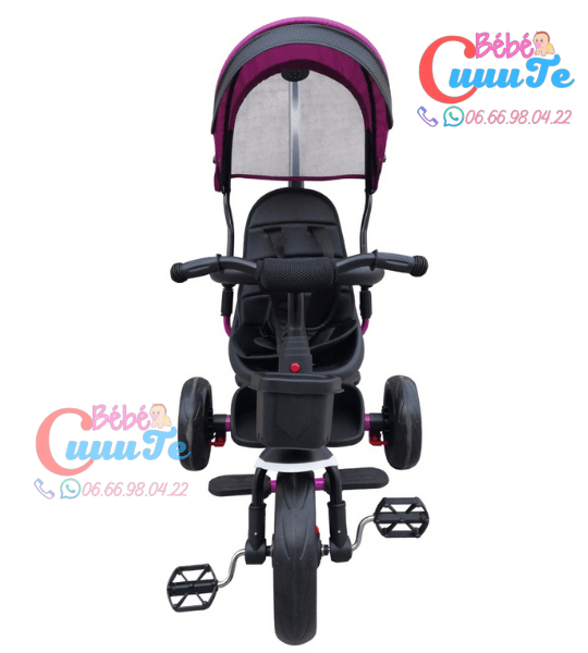 Tricycle Evolutif Yf-31